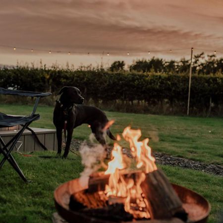 Hotel Doxford Farm Camping Alnwick Exterior foto