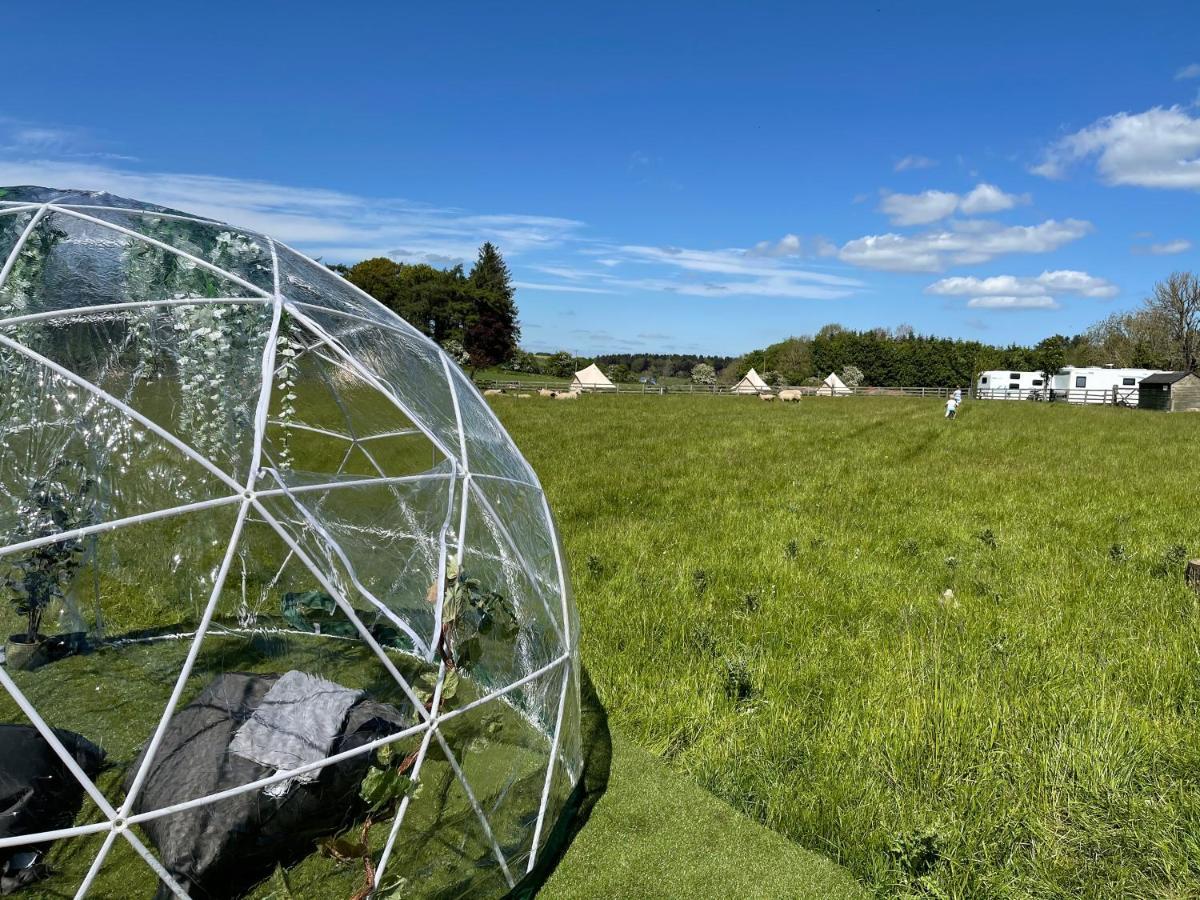 Hotel Doxford Farm Camping Alnwick Exterior foto